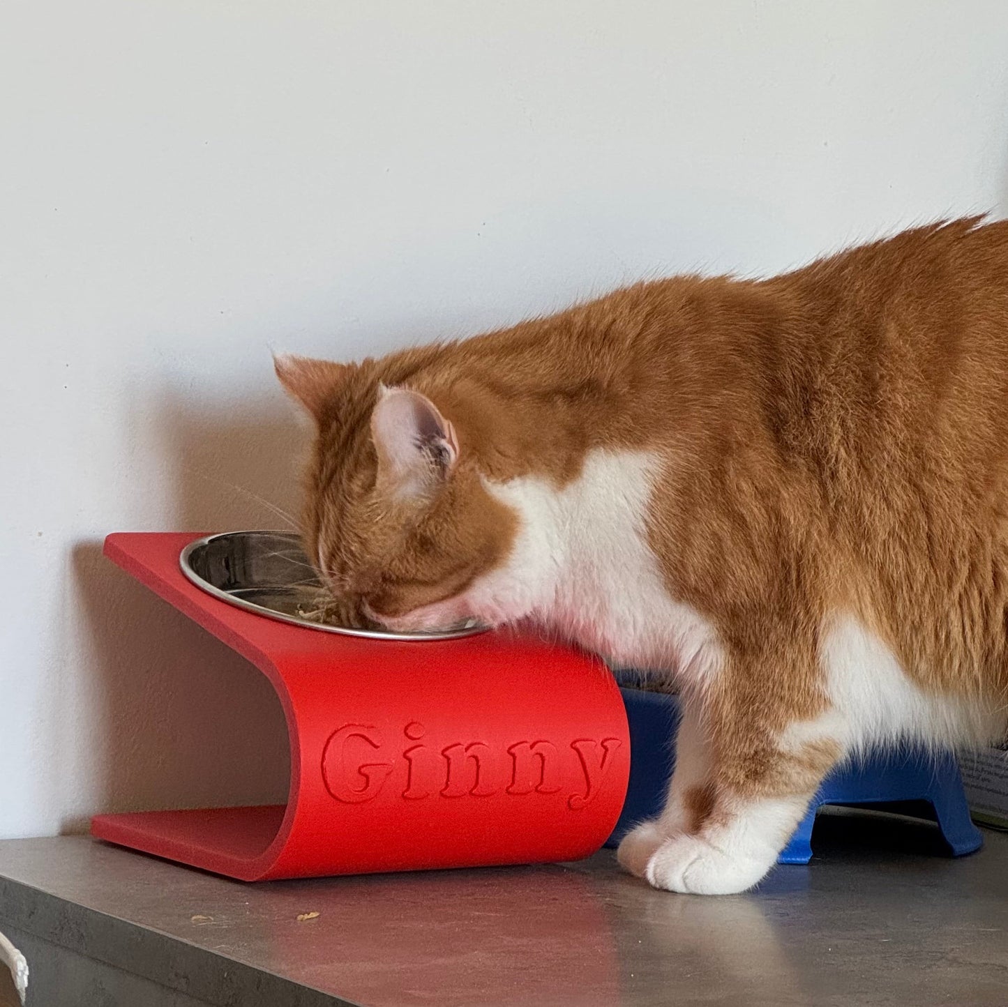 Ciotola personalizzata con nome per gatti inclinata e rialzata Rossa Fourzampe