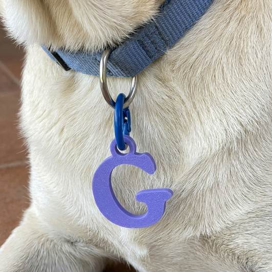 Medaglietta per cani con lettera Fourzampe